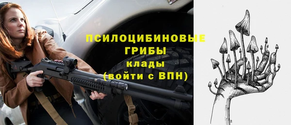 мдпв Волоколамск