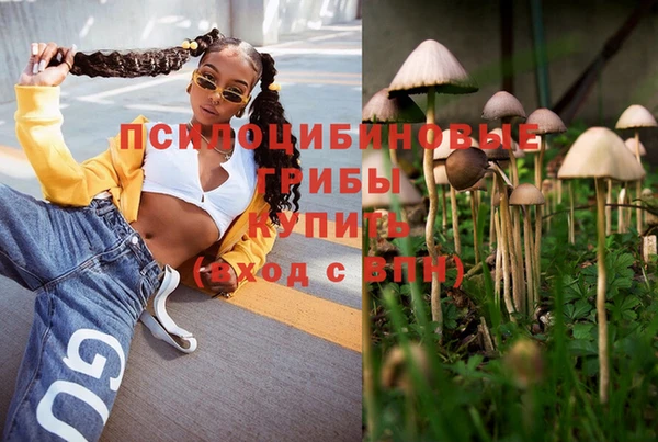 мдпв Волоколамск