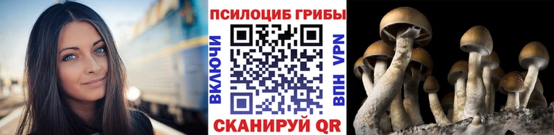 omg как зайти  Нижний Тагил  Псилоцибиновые грибы GOLDEN TEACHER 